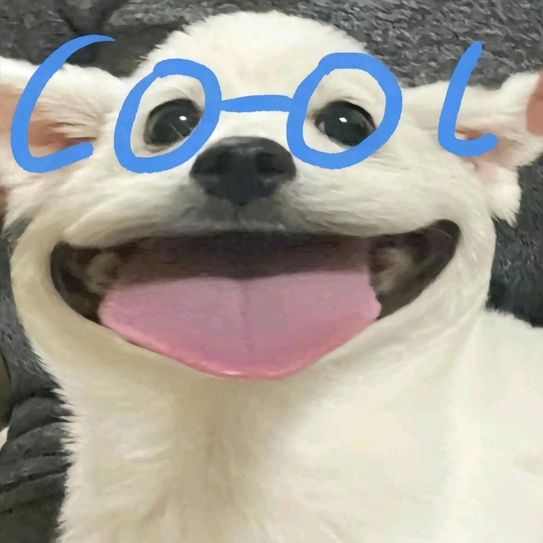 犯困蛋挞💤
