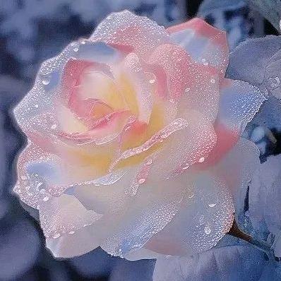 蔬菜汁
