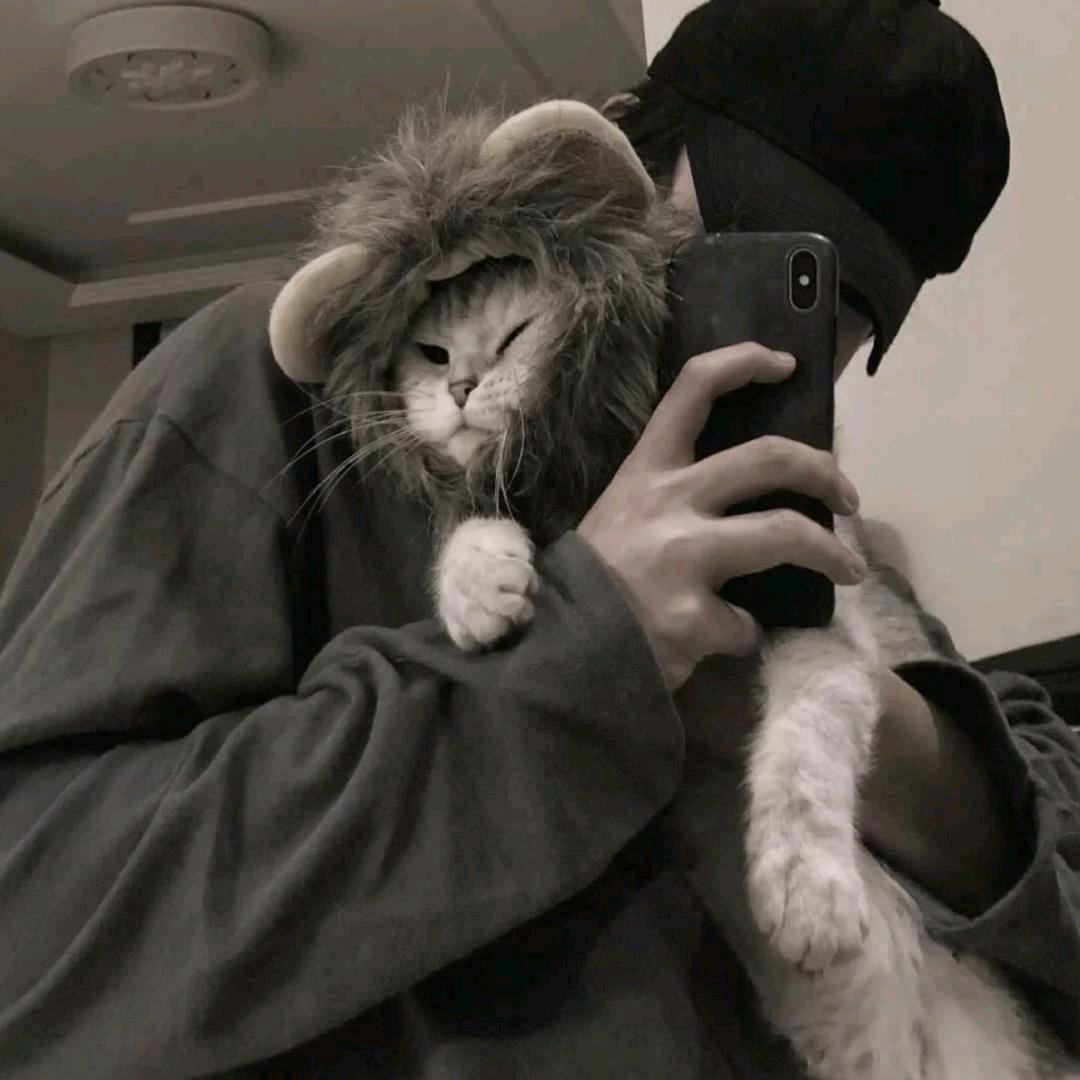 🌈猫🌈