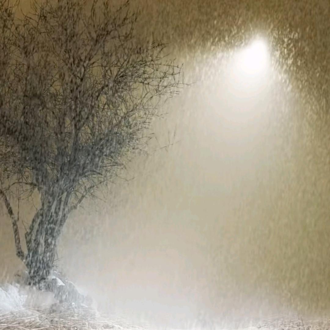 🌈笑着面对生活🌈