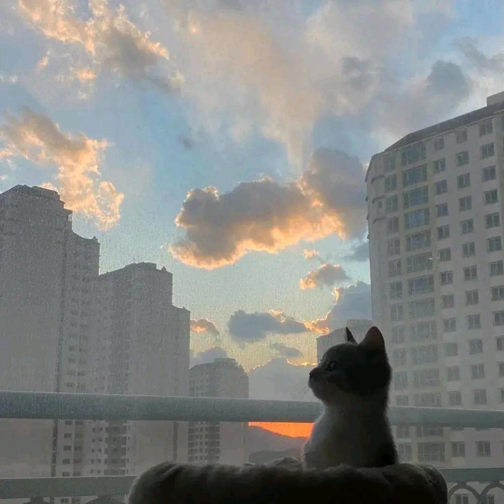 👑时间橡皮擦