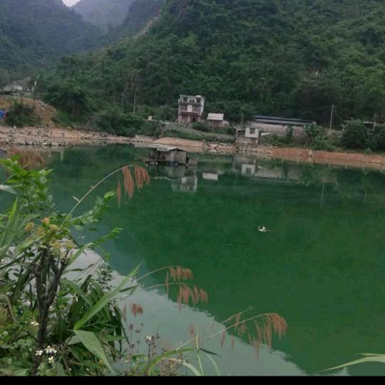 用户萍7117502867471