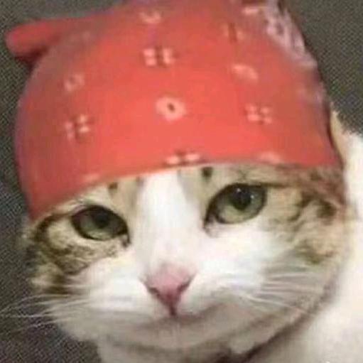 揭阳电信宽带—阿钜