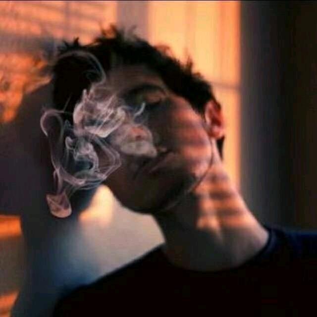 疲了个皮