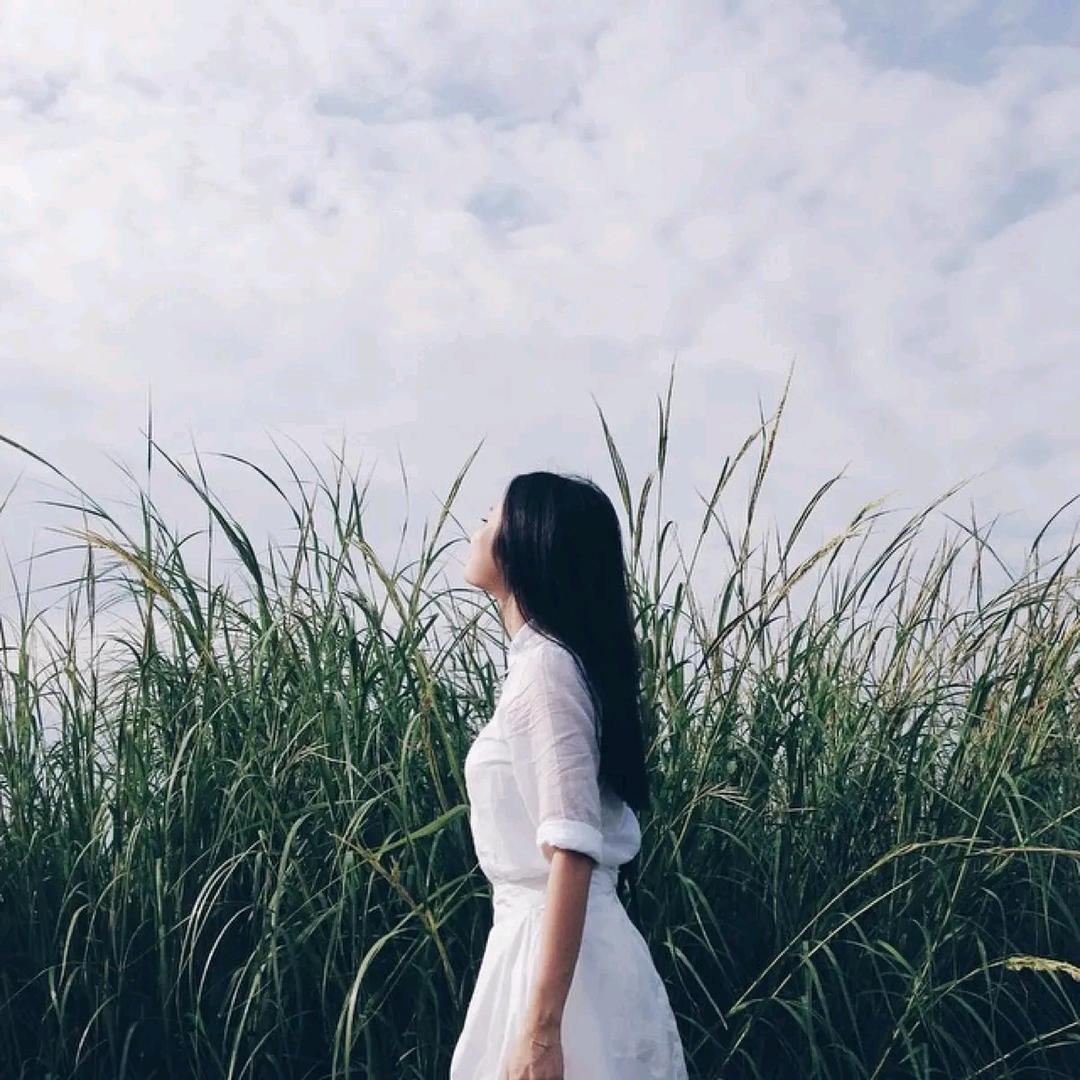 小菲说