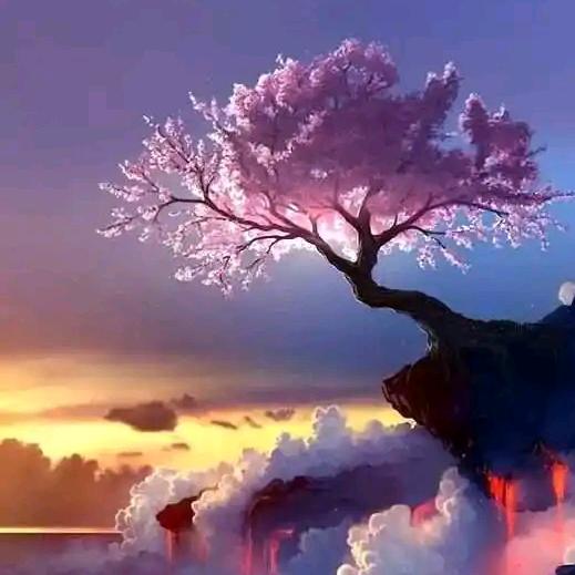 加油
