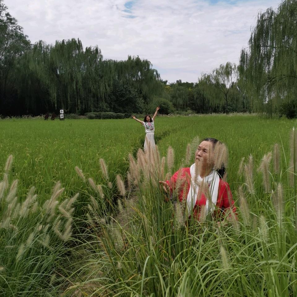 刘住幸福