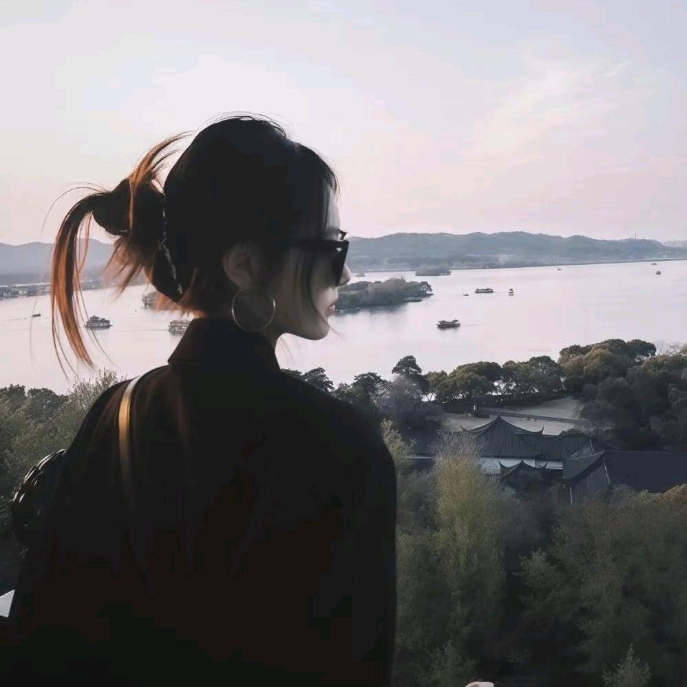 小猫疗愈