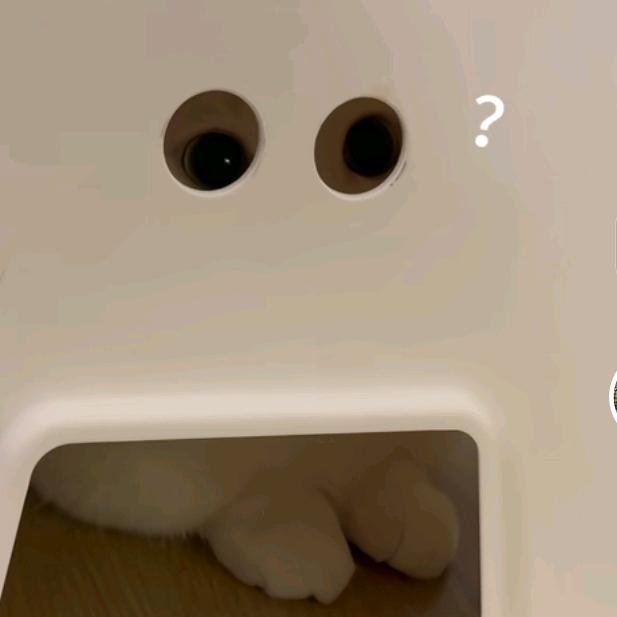 人
