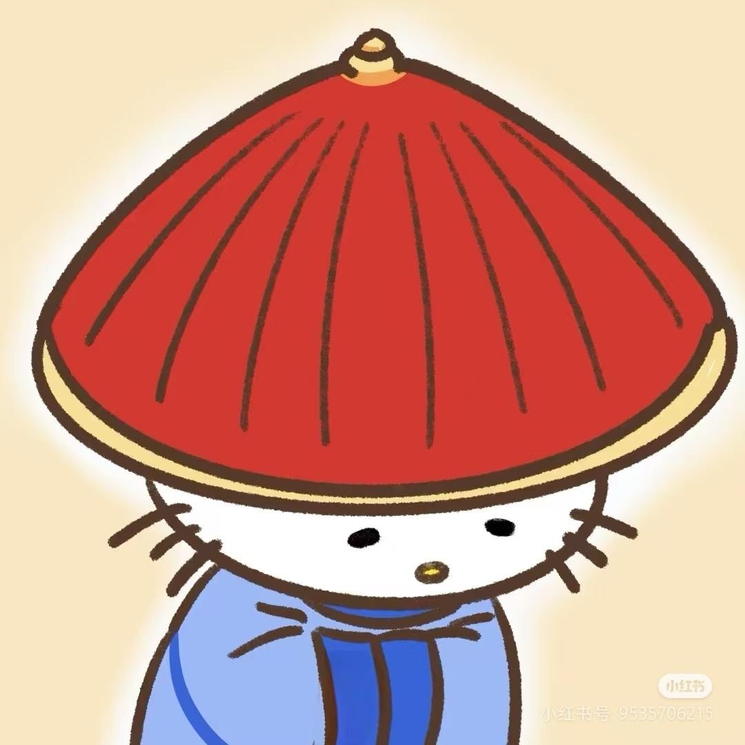 小小红烧肉