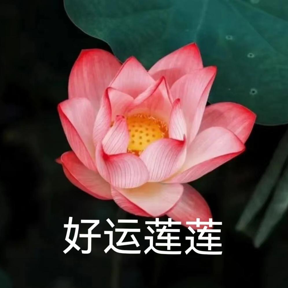 雪花梨