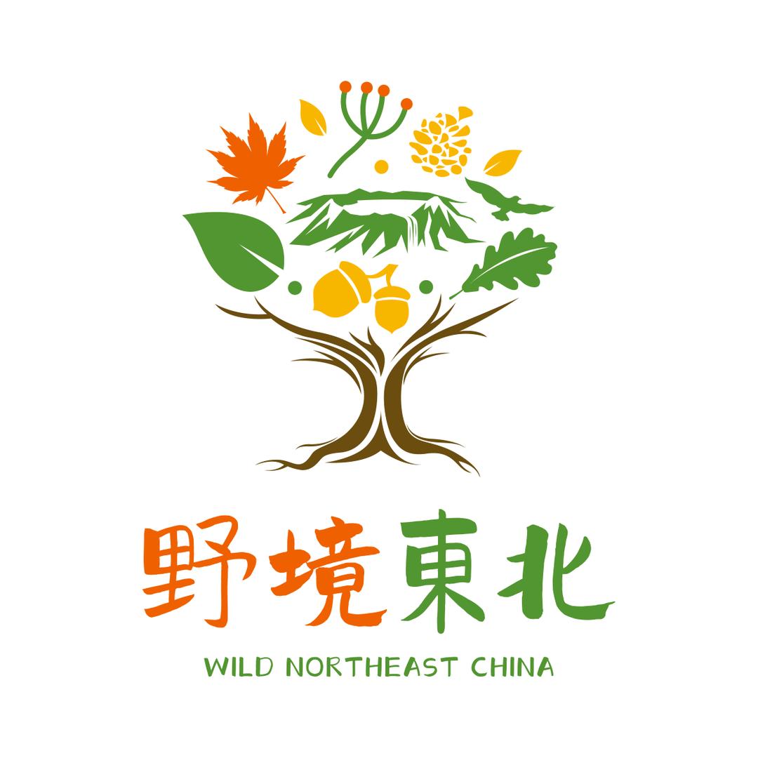 野境东北