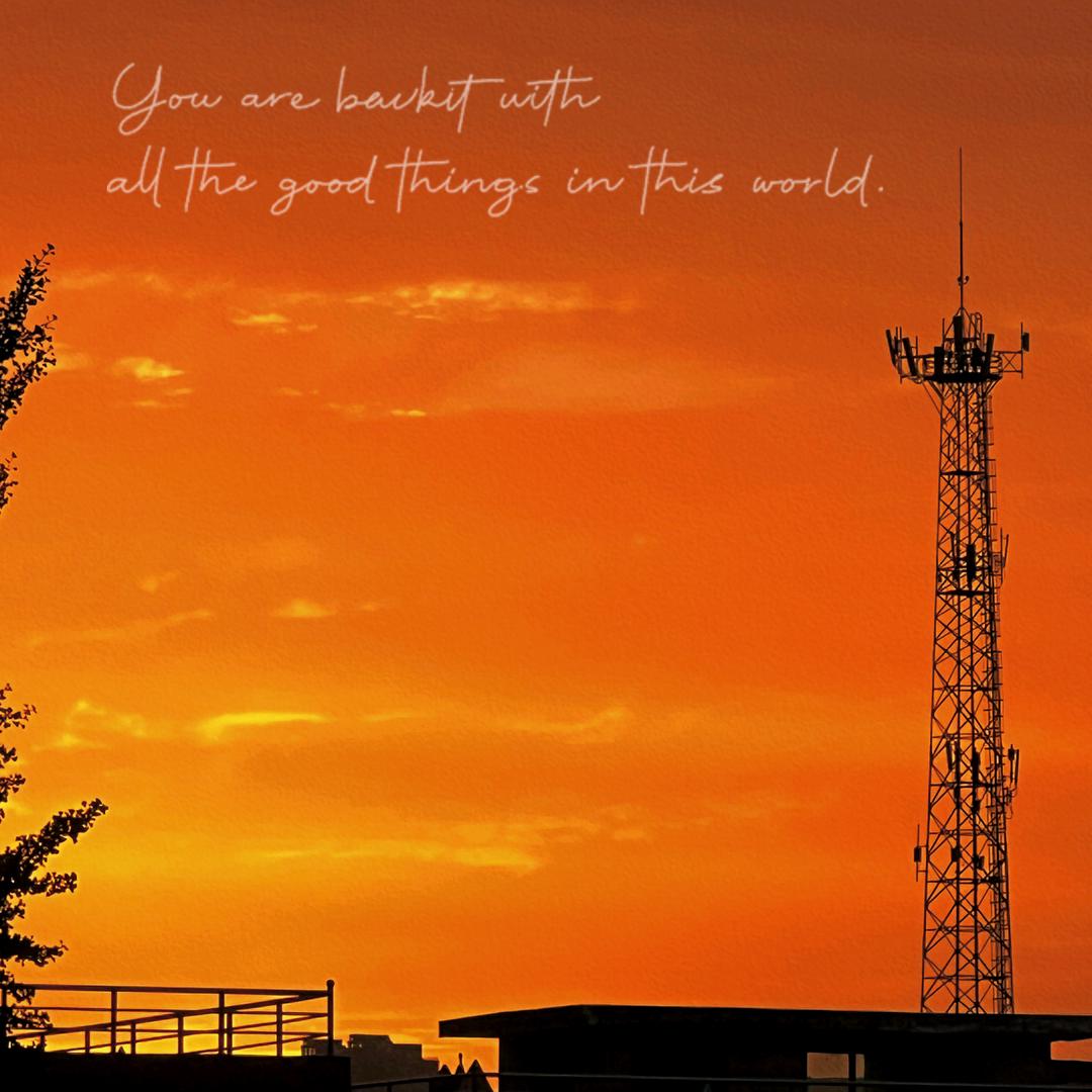 努力学习的圆圆