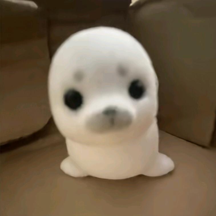 啊呆.