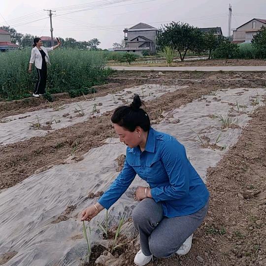 农村范儿