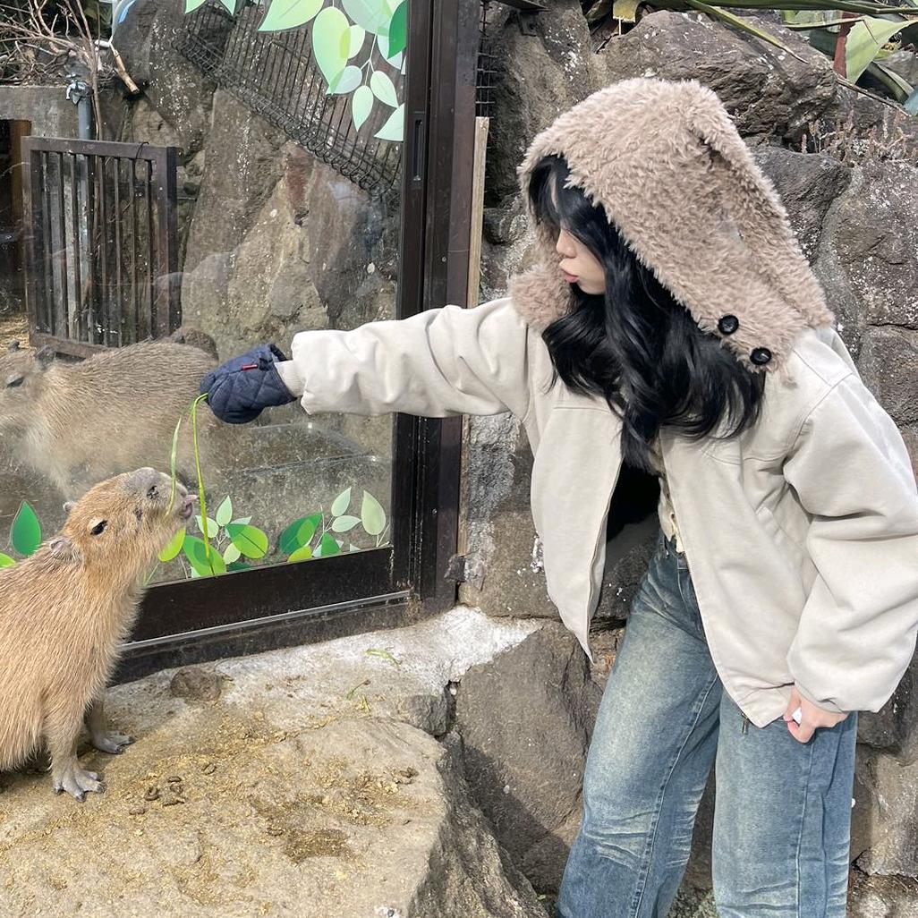 见龙卸甲（真）