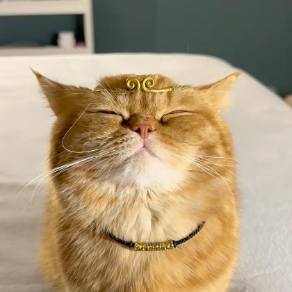 馨想事成🐝ᝰ（差1w战国一西施）