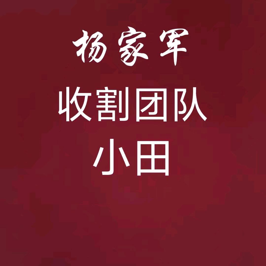 农机小田收获玉米直粒小麦深耕璇地秸秆还田