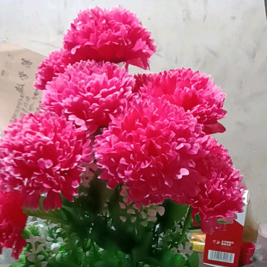 万事如意《罗家的三小姐》