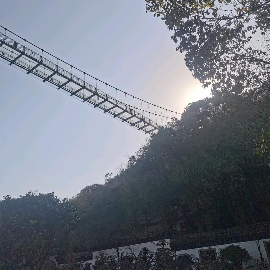 凌度