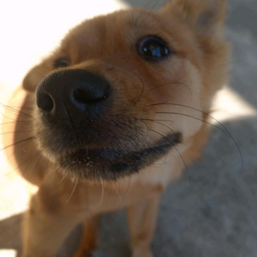 借物有借有还，所以我把知识还回去了