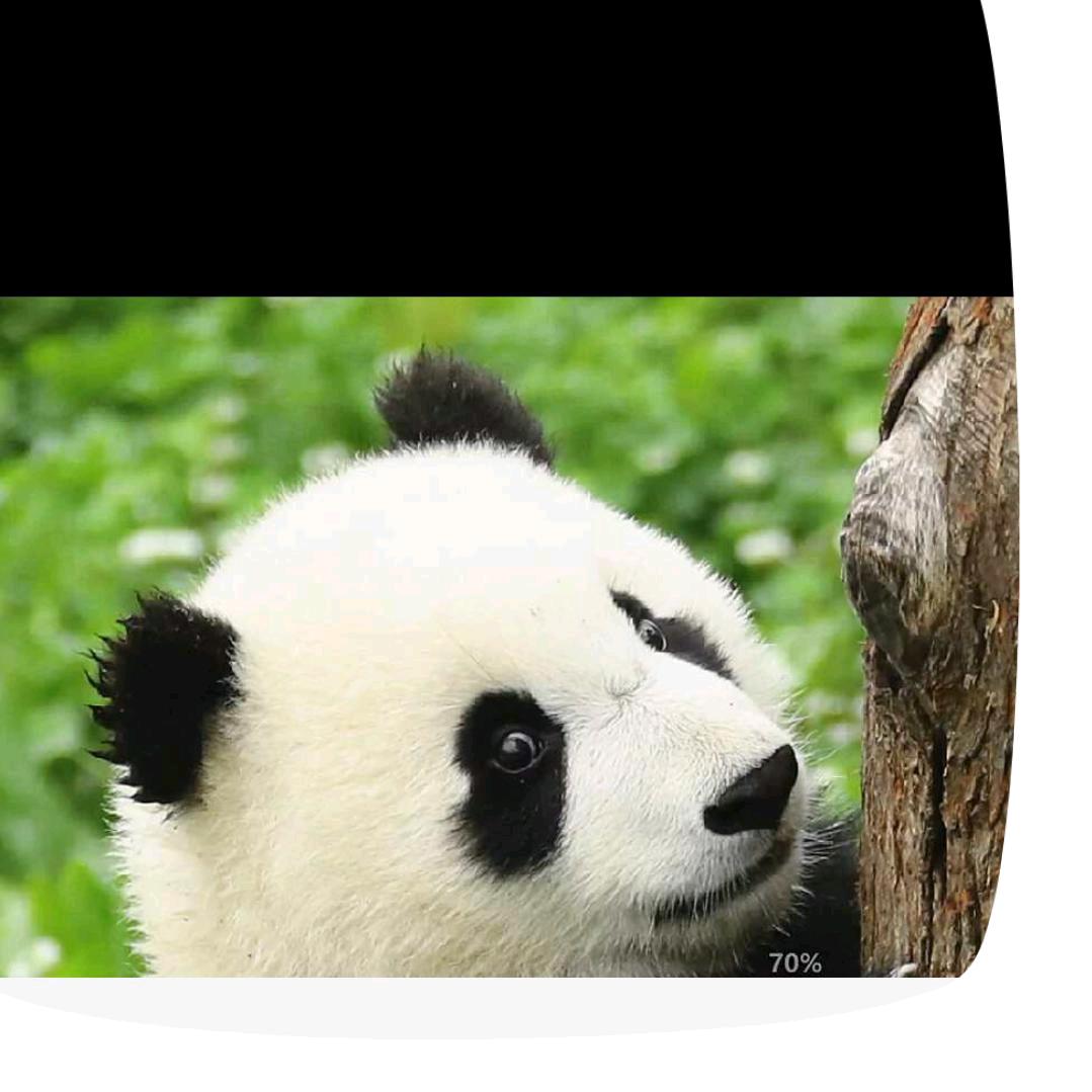 米妮好物
