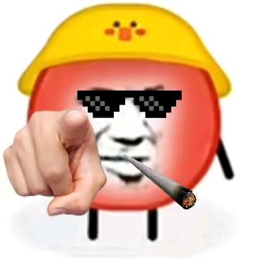 汤圆儿✔