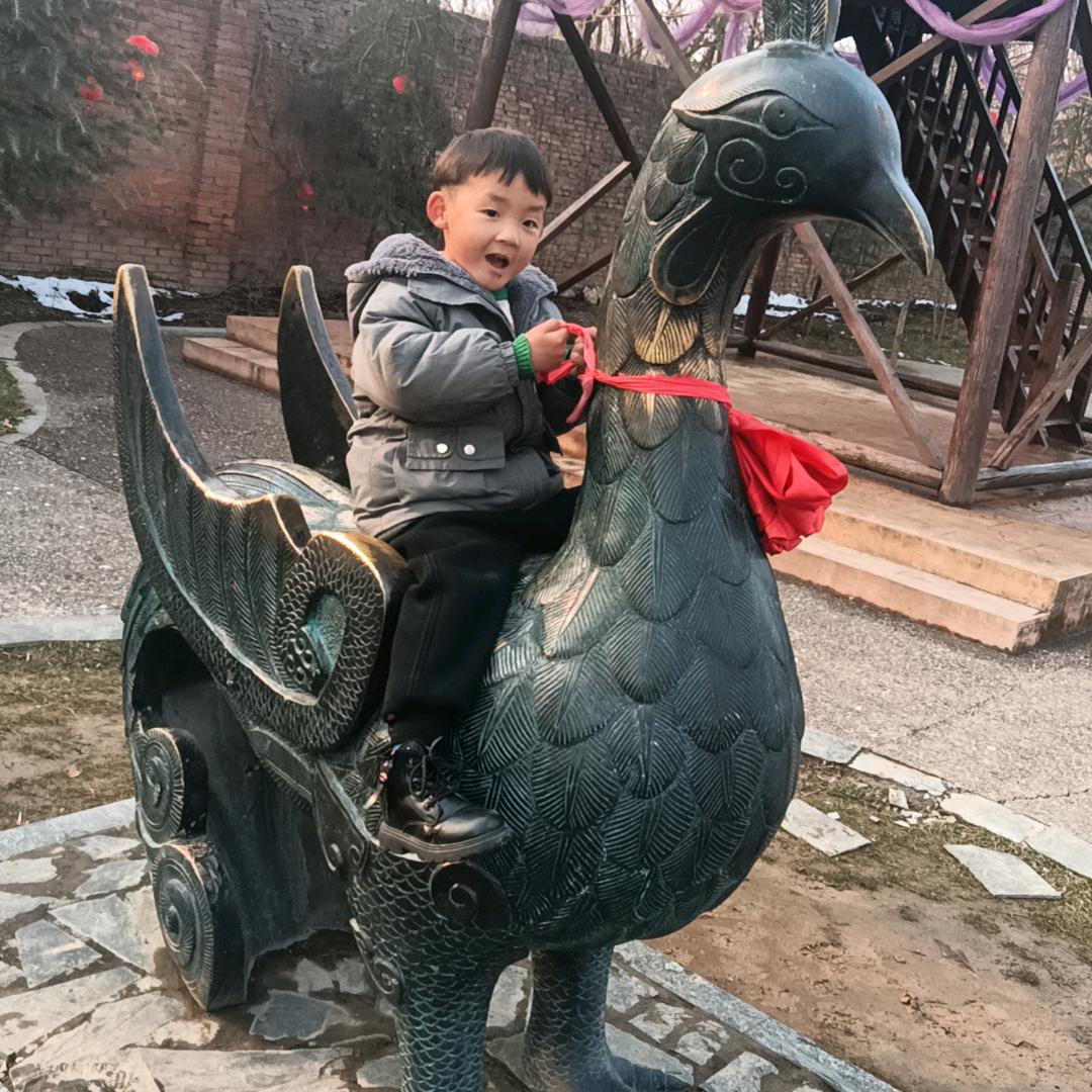 🕊️🕊️张梅（杰歌盟）