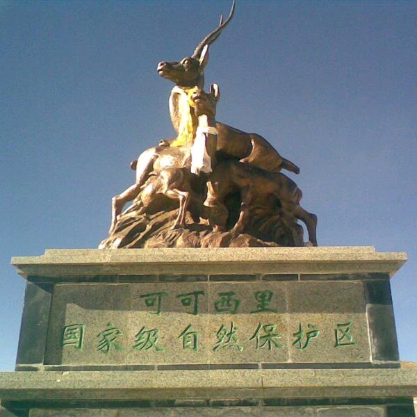 农人阿根