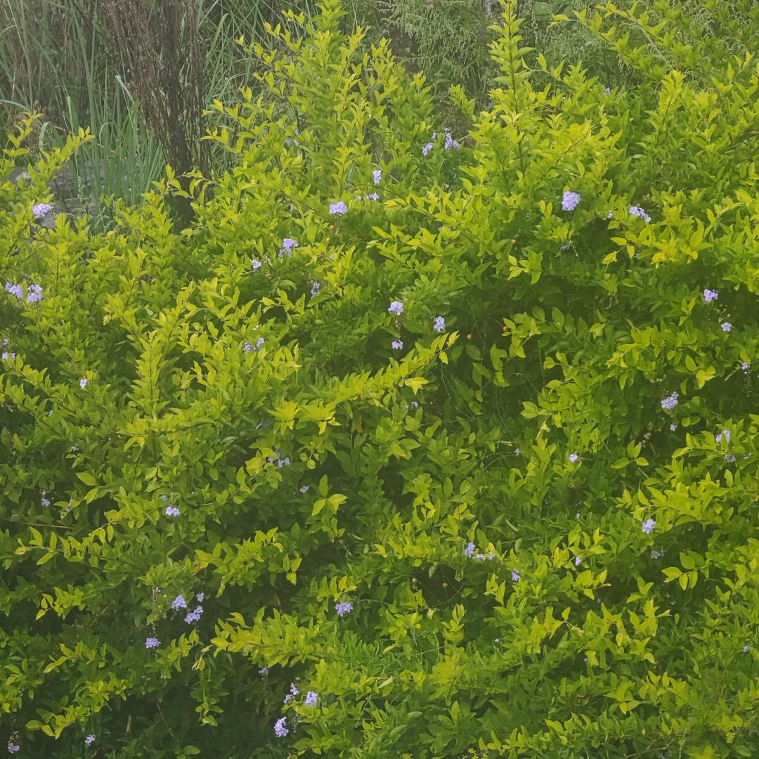 荣贸甄选