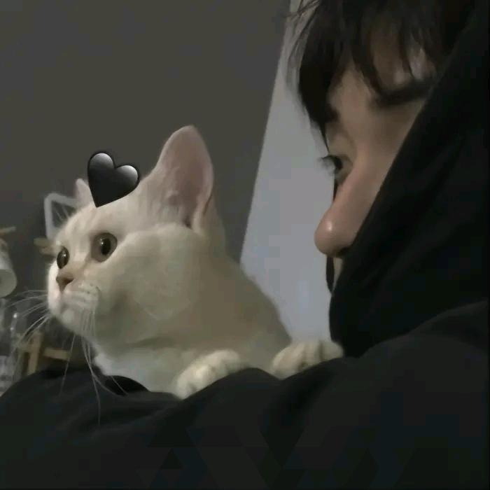 阿里嘎多阔多西哇尼玛斯