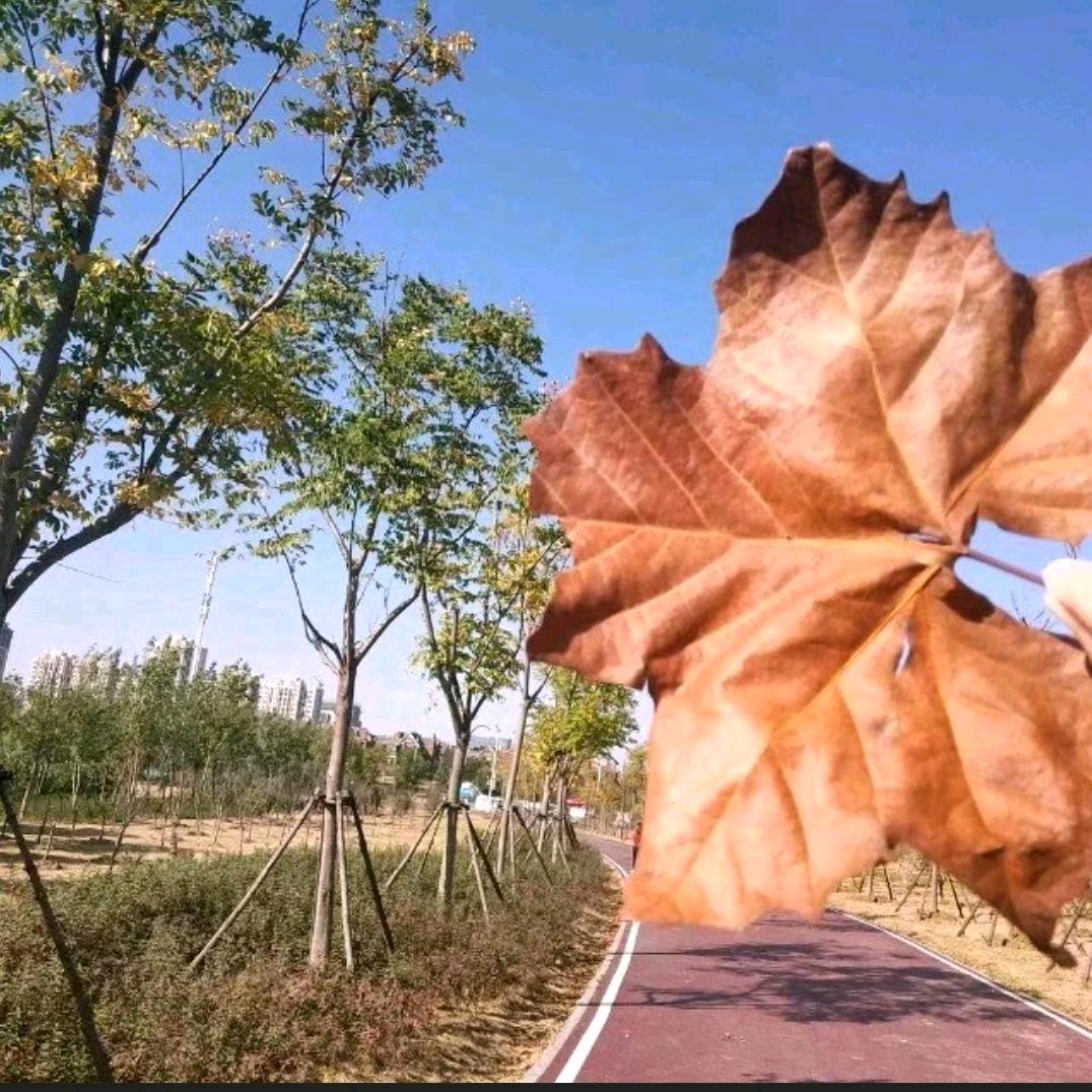 人生海海，山山而川