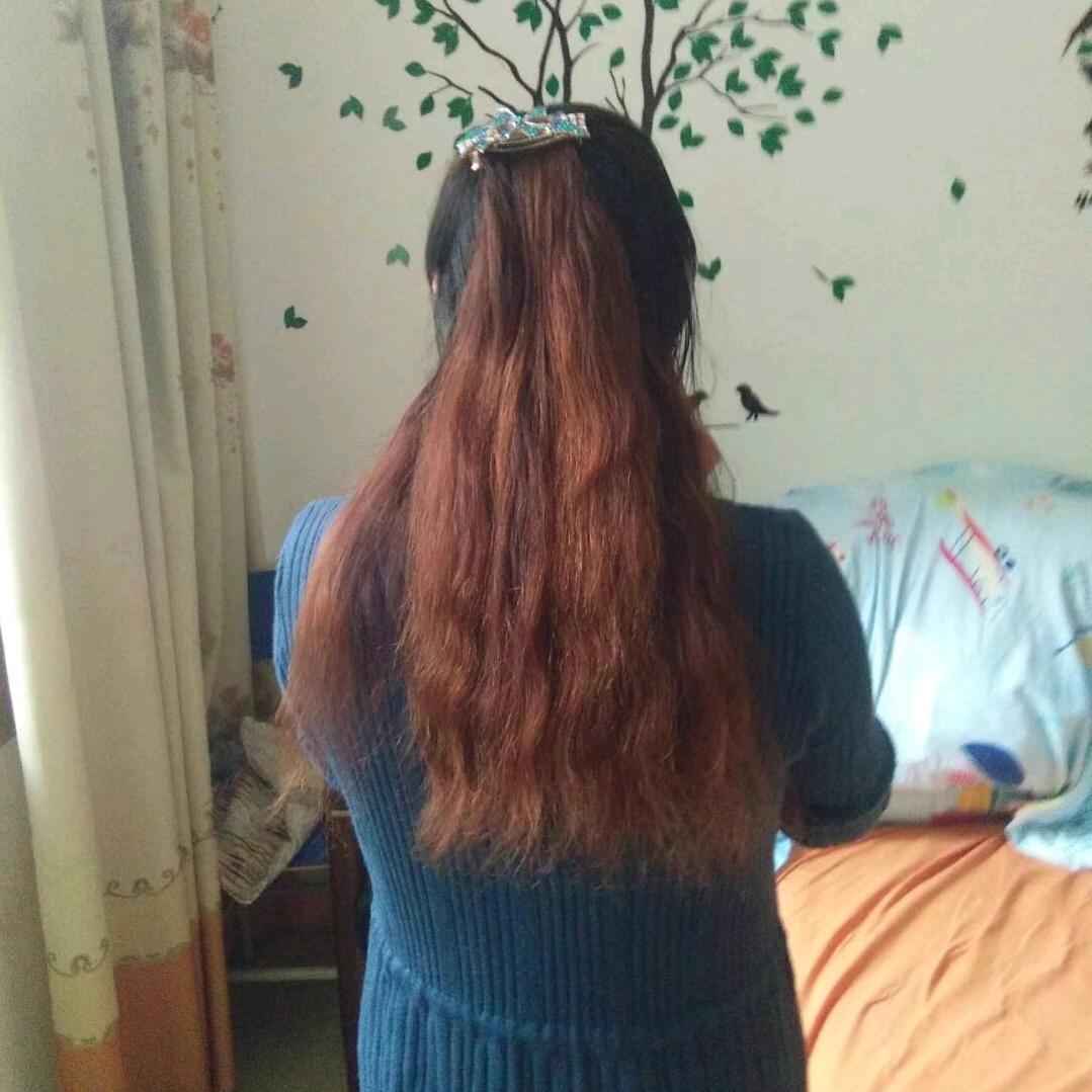 绍菊