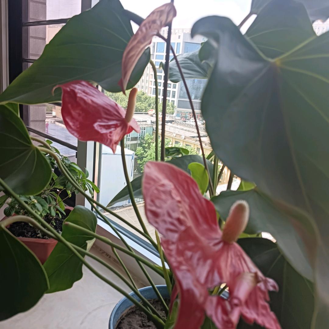 1728283355@55555人生智