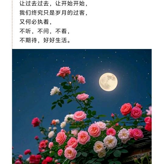 ღᩚ᭄.乄蕗亾᭄ৡᩚ࿐