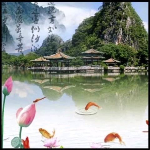 简    洁