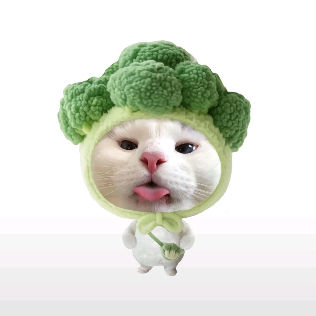 我的头发是假发吗？