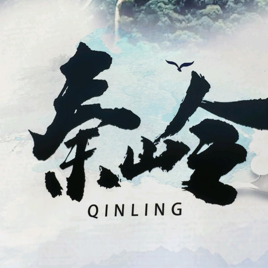 秦岭（跑山黑猪）