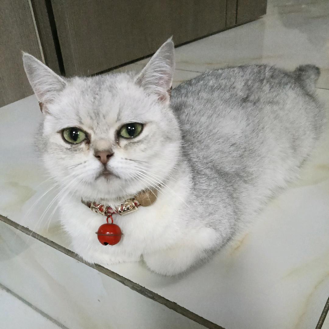 做个没心没肺的人！