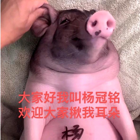 小铭shaco