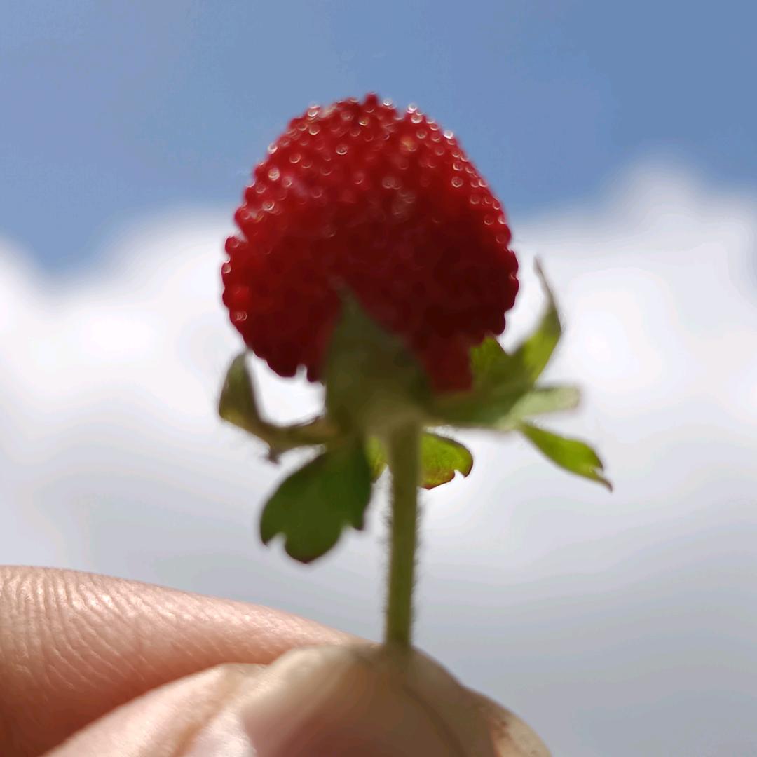 我·爱·我