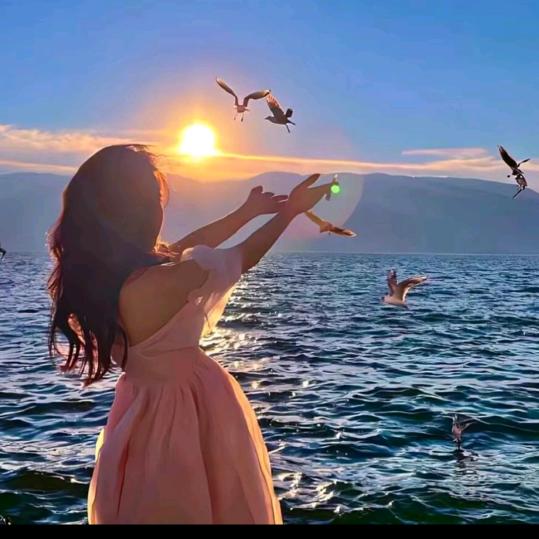 小刘向你请安✨