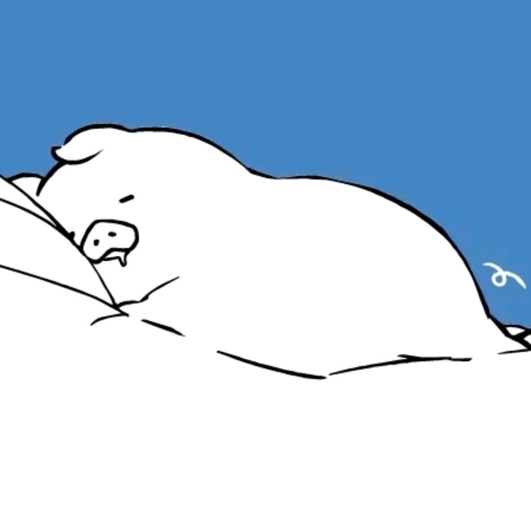 芝猪侦探