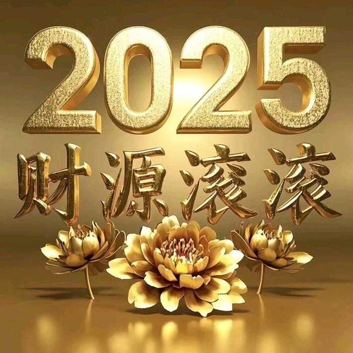 金币哥