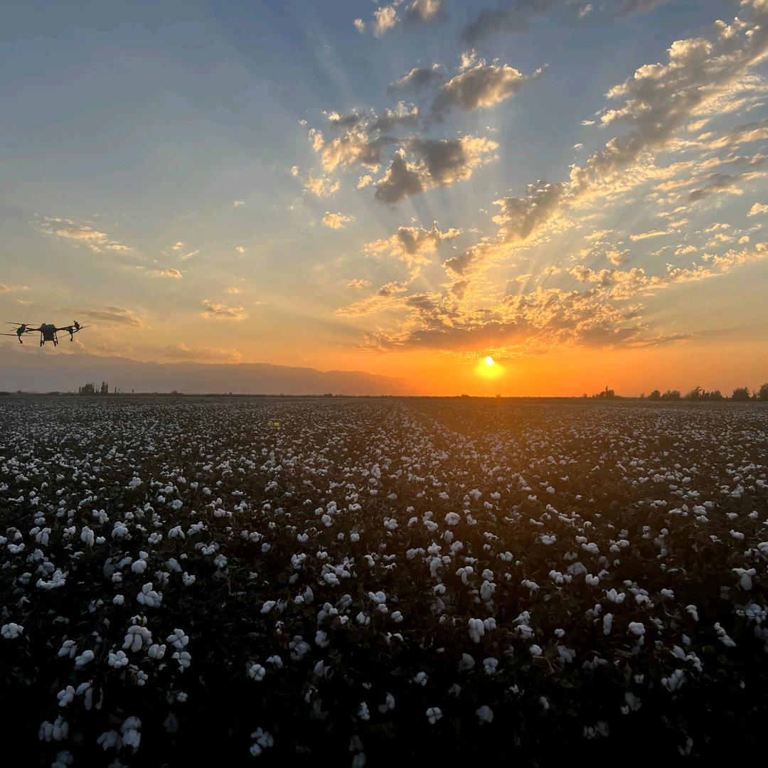 锦疆农业（大疆无人机）