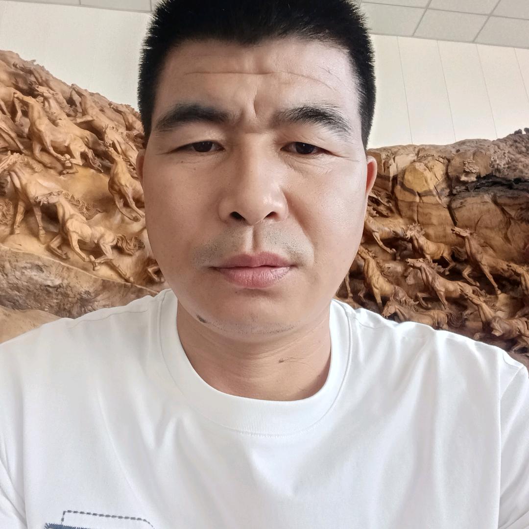 自由飞翔