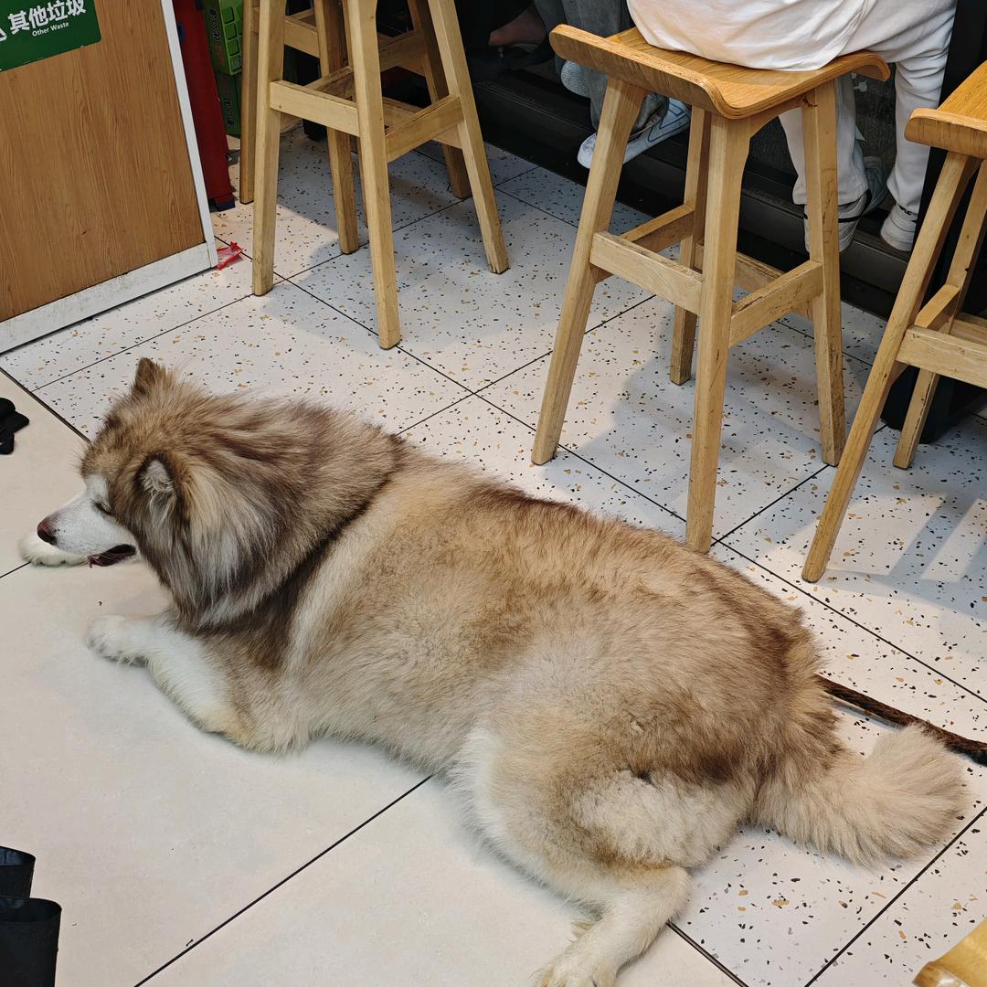 思鸣