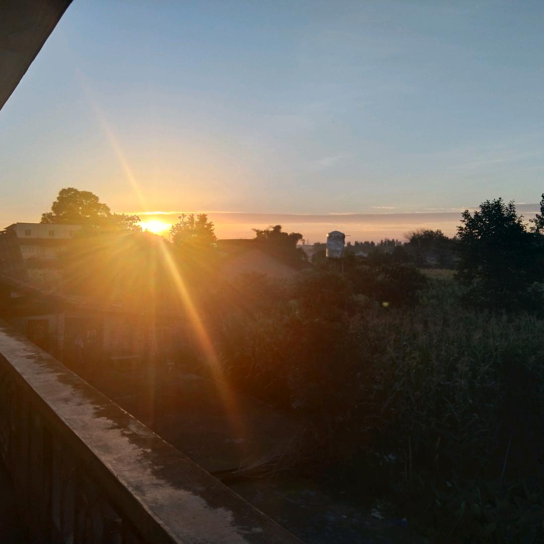 八月桂花香满圆