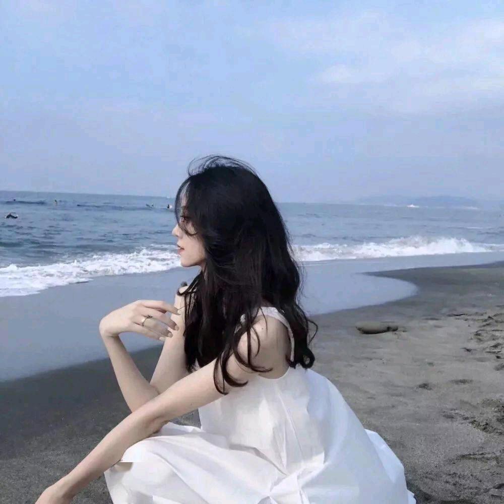 鲍鲍