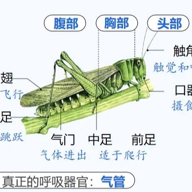 漂流